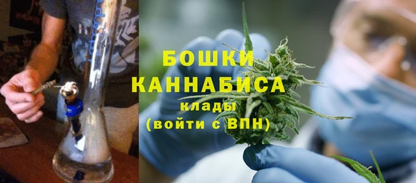 амф Аркадак