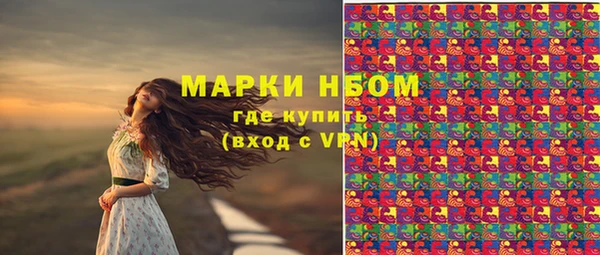 прущие грибы Арсеньев