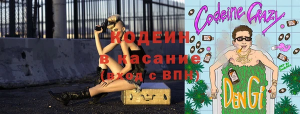 прущие грибы Арсеньев