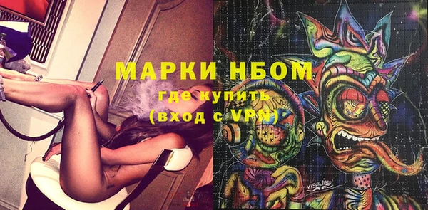 прущие грибы Арсеньев